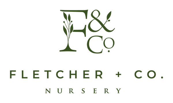 Fletcher & Co. Nursery